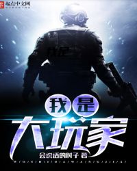 我是大玩家txt下载笔趣阁