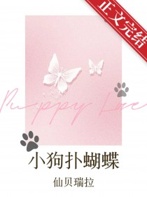 小狗扑人的视频